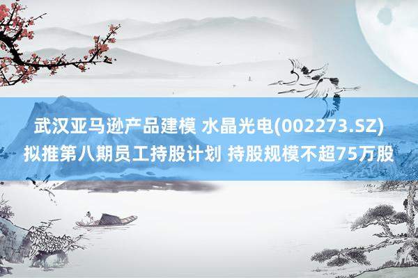 武汉亚马逊产品建模 水晶光电(002273.SZ)拟推第八期员工持股计划 持股规模不超75万股