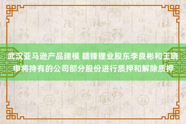 武汉亚马逊产品建模 赣锋锂业股东李良彬和王晓申将持有的公司部分股份进行质押和解除质押