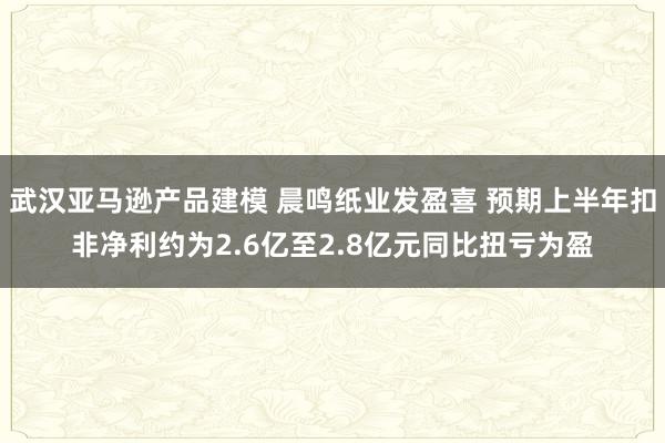 武汉亚马逊产品建模 晨鸣纸业发盈喜 预期上半年扣非净利约为2.6亿至2.8亿元同比扭亏为盈